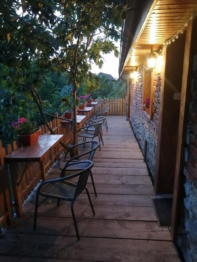 Hotel Borlova /Muntele Mic Exteriér fotografie