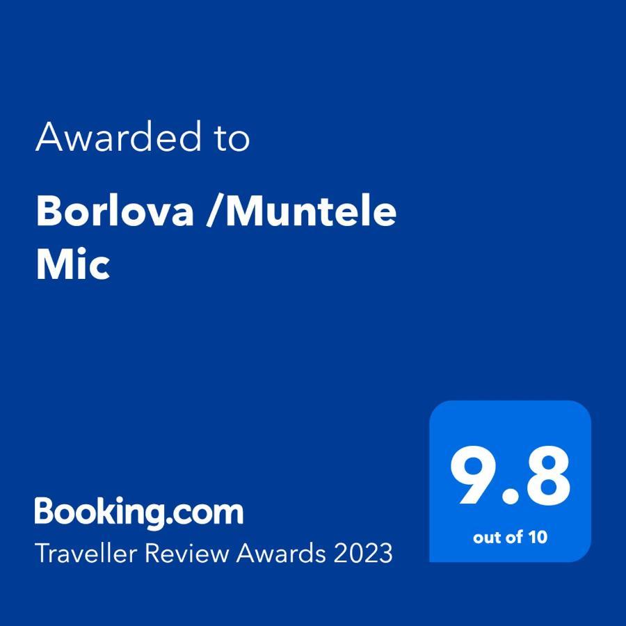 Hotel Borlova /Muntele Mic Exteriér fotografie